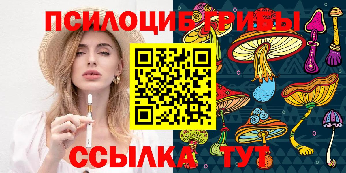 Галлюциногенные грибы Psilocybe  Вход с VPN  Псилоцибиновые грибы ЛСД  Коломна 