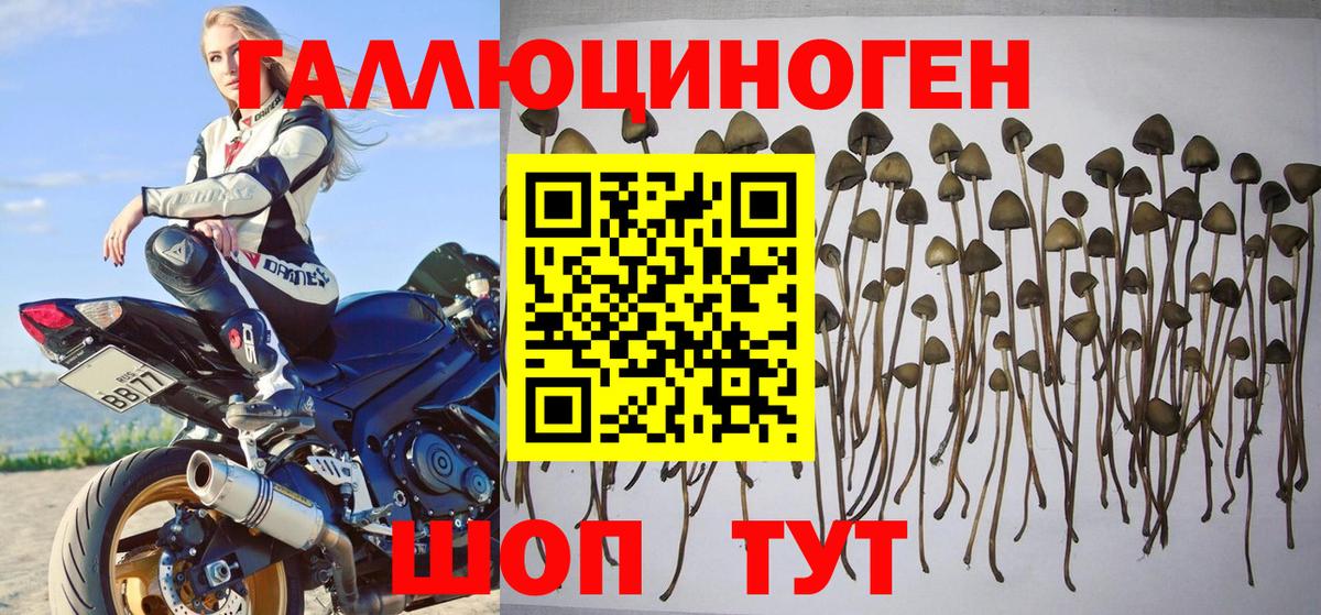 Галлюциногенные грибы GOLDEN TEACHER Коломна